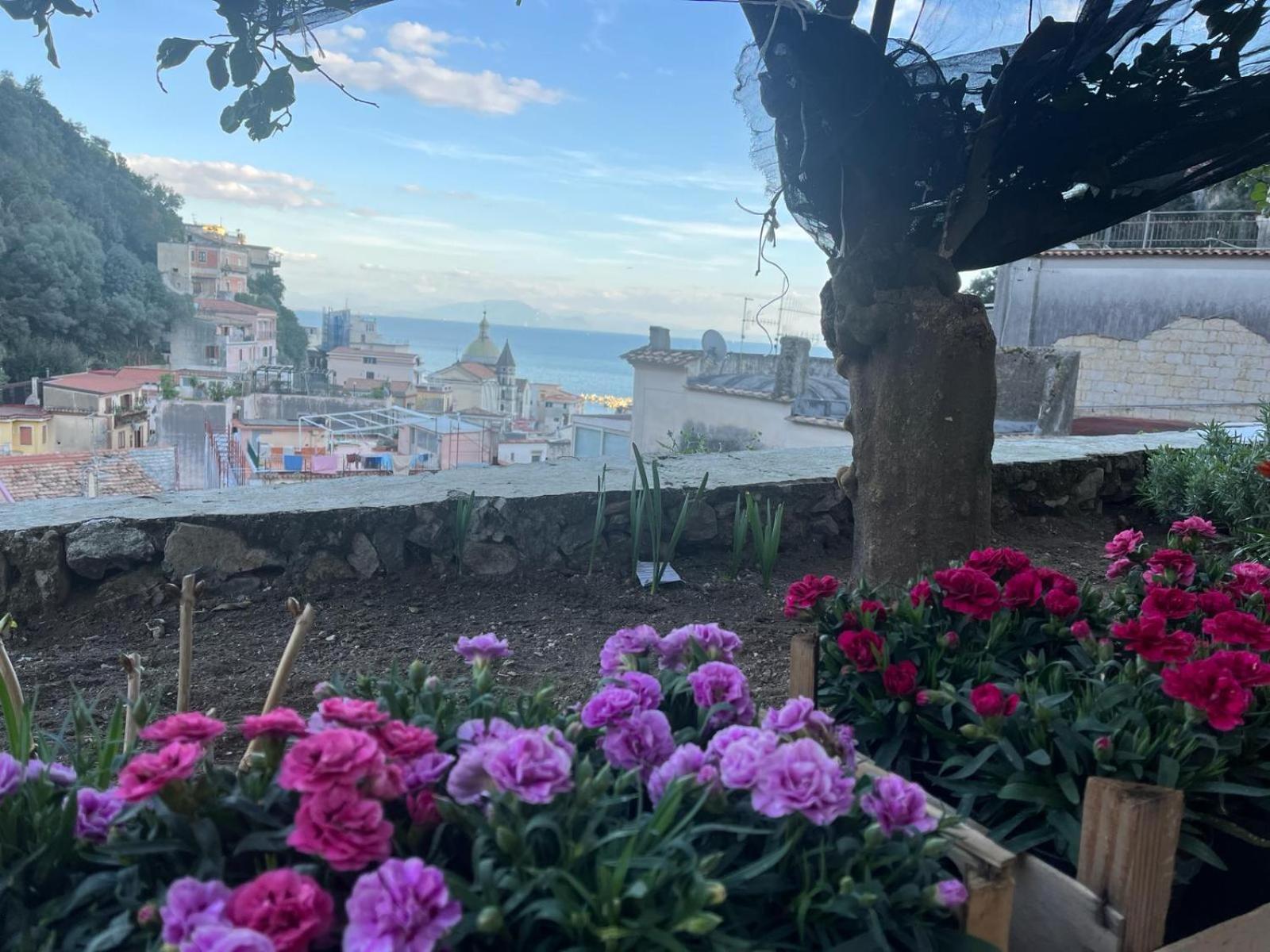 Casa Nel Borgo Dei Gatti Apartment Cetara Luaran gambar